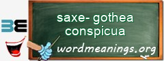 WordMeaning blackboard for saxe-gothea conspicua